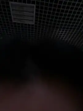 Liza Will online show from February 20, 2026, 9:00 am