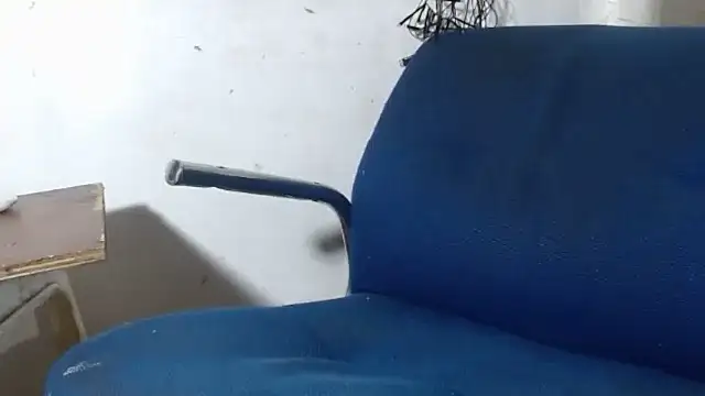 BebaFoxx online show from November 26, 2025, 8:26 am