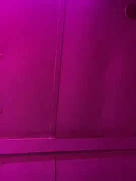 jcwxt online show from March 1, 2026, 11:56 am