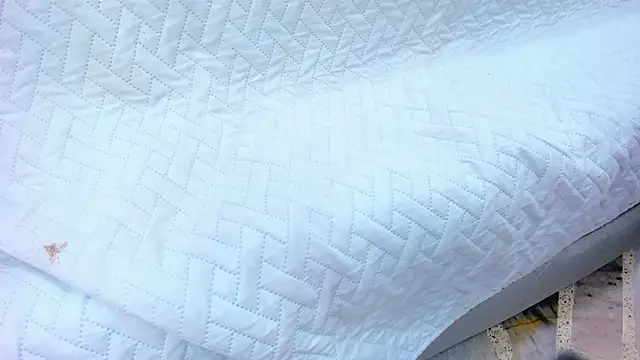 crystal sm online show from February 13, 2026, 3:13 am