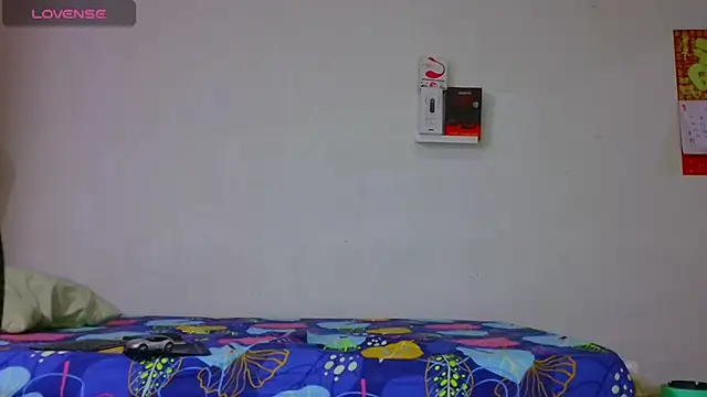 dylan apol0 online show from March 17, 2026, 2:16 am