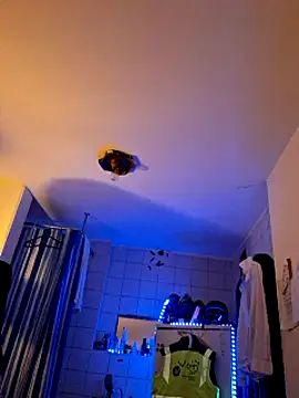 Snapshot of a7ex chatting on December 15, 2024, 2:30 am a7ex online show from December 15, 2024, 2:30 am