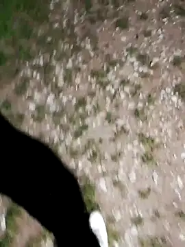 ARTANIS20 online show from October 21, 2025, 8:20 pm