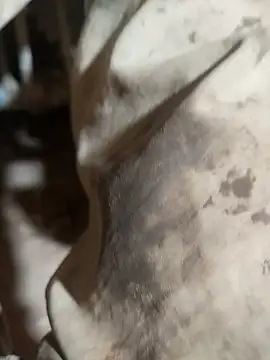 ParousFlow online show from October 15, 2025, 9:37 pm