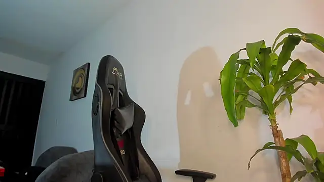 LoganTwink18 online show from December 17, 2025, 9:26 am