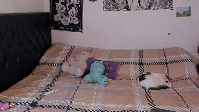 chloe kisses online show from September 25, 2025, 11:47 am