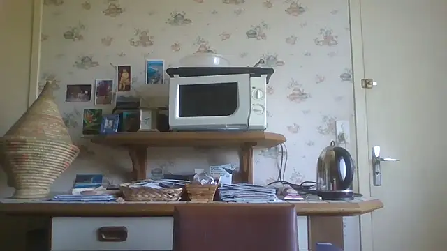 Snapshot of gegevincent chatting on June 17, 2026, 11:01 am gegevincent online show from June 17, 2026, 11:01 am