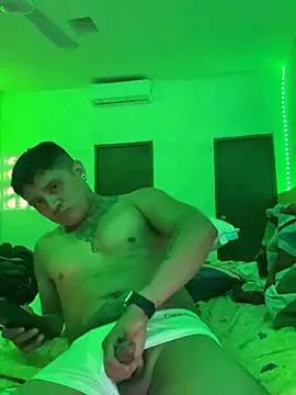 Snapshot of siilvestremx chatting on February 18, 2026, 4:08 am siilvestremx online show from February 18, 2026, 4:08 am