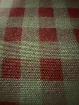 anonimgirl18old online show from November 24, 2025, 3:56 pm