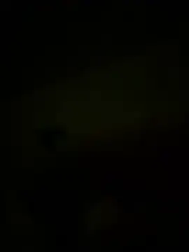 Bogglyyy online show from April 14, 2026, 10:27 pm