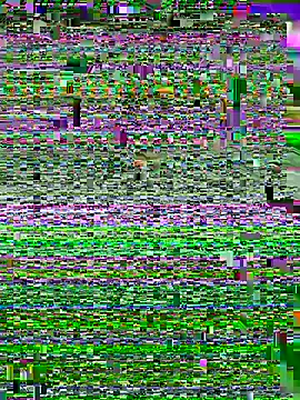 Snapshot of ASSERINAAA chatting on July 10, 2026, 6:28 am ASSERINAAA online show from July 10, 2026, 6:28 am