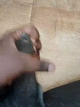 Saikishore00000 online show from September 15, 2025, 8:25 am