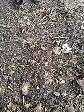 Snapshot of Telugu_person12 chatting on January 14, 2026, 7:58 am Telugu person12 online show from January 14, 2026, 7:58 am