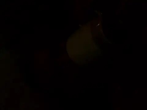 Snapshot of PointXXL chatting on December 16, 2025, 2:33 pm PointXXL online show from December 16, 2025, 2:33 pm