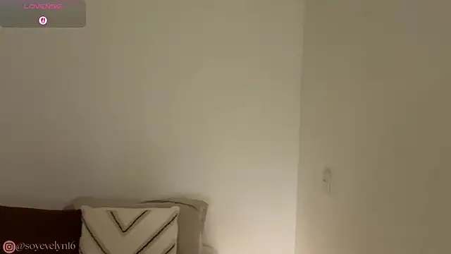 Snapshot of Evelyn__16 chatting on December 2, 2025, 8:48 pm Evelyn 16 online show from December 2, 2025, 8:48 pm