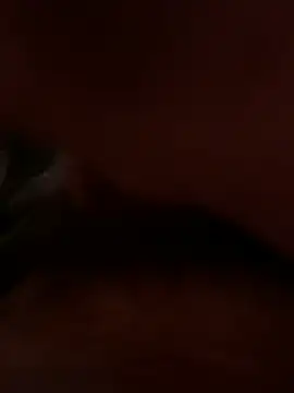 dice4422 online show from April 2, 2026, 5:32 pm