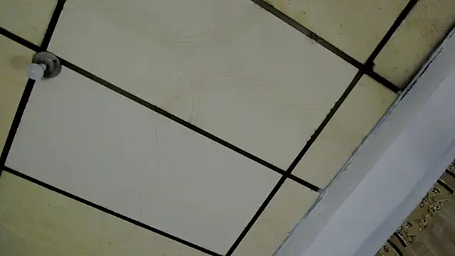 Snapshot of AlaskaFlowers_ chatting on September 12, 2025, 5:51 am AlaskaFlowers online show from September 12, 2025, 5:51 am