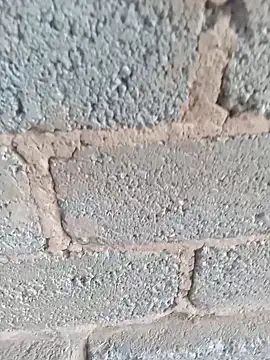 Snapshot of KingBonga chatting on October 17, 2025, 4:37 am KingBonga online show from October 17, 2025, 4:37 am