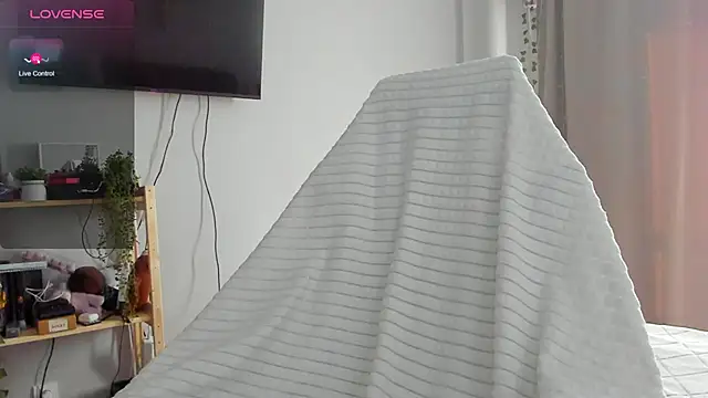 wwow meow online show from February 13, 2026, 6:42 am