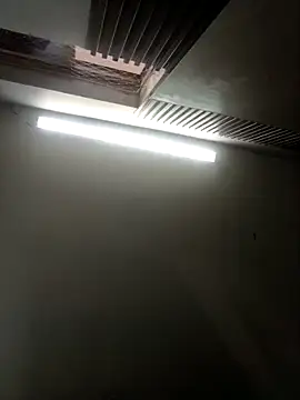 Teffy chell online show from March 15, 2026, 1:39 pm