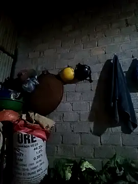 jienrrr online show from February 24, 2026, 11:30 am