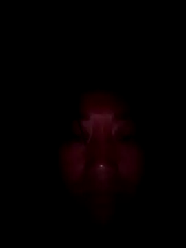 Zhan99999 online show from October 15, 2025, 11:21 am