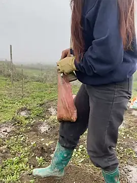 Snapshot of isaaa5 chatting on March 17, 2026, 2:38 am isaaa5 online show from March 17, 2026, 2:38 am