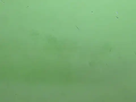 rockyy23boy online show from October 15, 2025, 10:26 am