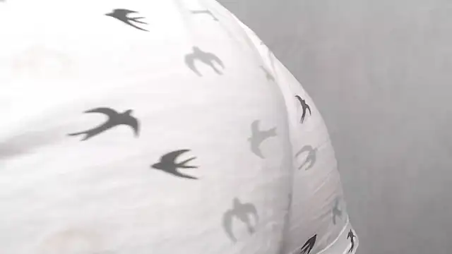 cute elfy  online show from October 6, 2025, 2:03 pm