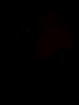 Ori-Lynk online show from December 1, 2025, 6:29 am