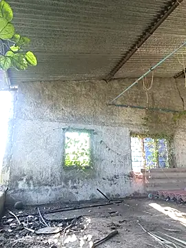 Snapshot of Sunny_cute_love chatting on October 6, 2025, 3:04 am Sunny cute love online show from October 6, 2025, 3:04 am