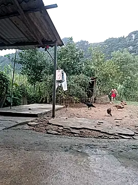 SexyQueen99 online show from November 8, 2025, 10:04 am