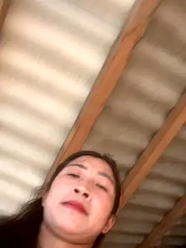 Snapshot of ThiHa003 chatting on October 10, 2025, 9:52 am ThiHa003 online show from October 10, 2025, 9:52 am