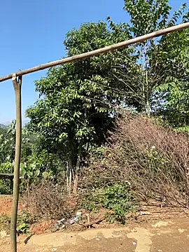 Snapshot of ThiHa003 chatting on November 27, 2025, 3:52 am ThiHa003 online show from November 27, 2025, 3:52 am