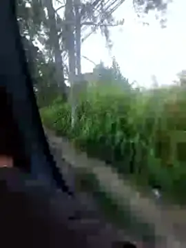 jeff pepoer online show from February 7, 2026, 10:52 am