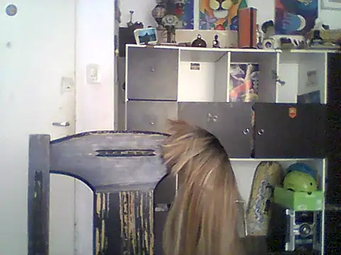 Bebita-zmp online show from May 21, 2026, 4:03 pm