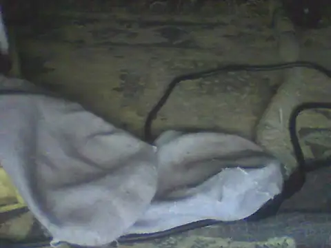 Snapshot of Bebita-zmp chatting on July 11, 2026, 4:32 pm Bebita-zmp online show from July 11, 2026, 4:32 pm