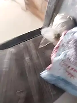 Wet BunnyFun online show from February 25, 2026, 10:03 am