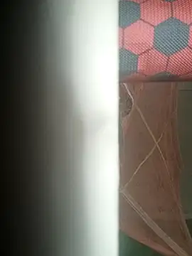 Snapshot of sobit1234 chatting on December 17, 2025, 10:49 pm sobit1234 online show from December 17, 2025, 10:49 pm