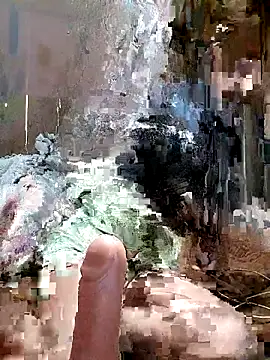 daisy will online show from March 9, 2026, 5:00 am