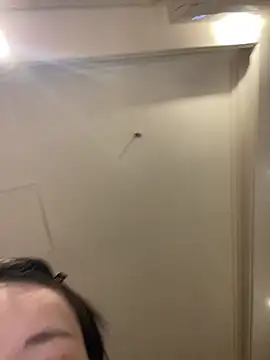 Snapshot of MengMeng0515 chatting on March 11, 2026, 2:23 pm MengMeng0515 online show from March 11, 2026, 2:23 pm