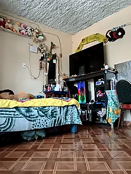 mexosito27 online show from February 20, 2026, 9:59 pm