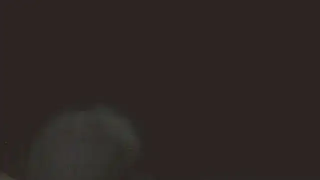Snapshot of pietje1991 chatting on May 16, 2026, 11:36 pm pietje1991 online show from May 16, 2026, 11:36 pm