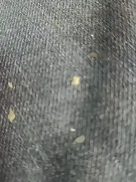 Narckse online show from September 15, 2025, 7:30 am