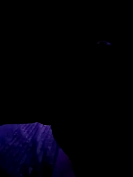 Thoma9034 online show from October 23, 2025, 3:17 am