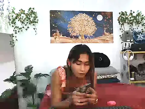 Snapshot of youarea_dreamer chatting on April 6, 2026, 5:14 pm youarea dreamer online show from April 6, 2026, 5:14 pm