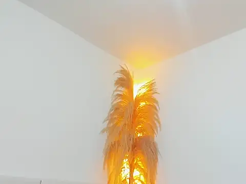 Kieran kian online show from February 14, 2026, 12:29 am