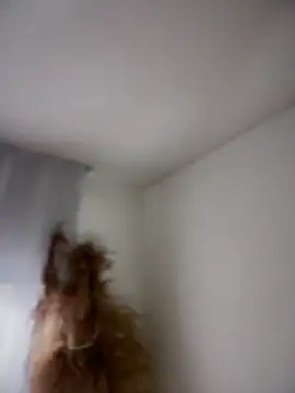 Sofi Leal online show from March 5, 2026, 12:12 pm