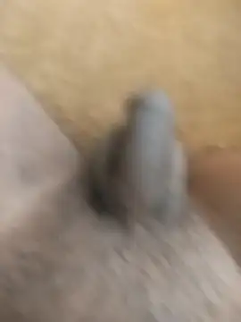 Snapshot of King_Raj99 chatting on October 18, 2025, 10:49 am King Raj99 online show from October 18, 2025, 10:49 am