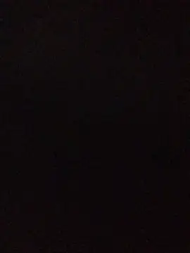 BiTransiboysex online show from August 6, 2026, 4:14 am